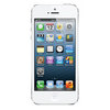 Apple iPhone 5 16Gb white - Чистополь