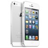 Apple iPhone 5 64Gb white - Чистополь